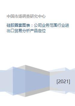 硅膠圈套圖表業(yè)務(wù)在進出口貿(mào)易中的定位與網(wǎng)上貿(mào)易代理分析